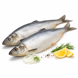 Herring (Seledka)